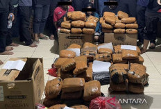 Tangkapan Besar Ditresnarkoba Polda Metro Jaya di Awal Tahun 2026