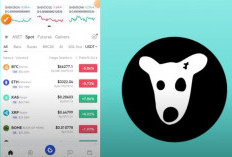 Mendadak Listing! Potensi Cuan DOGS Coin (DOC) di GET.IO