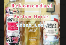 Rekomendasi Parfum Murah Tahan Lama, Dijamin Nggak Nyesel Membelinya! 