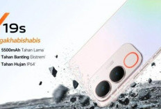 Kenali Vivo Y19s dengan Baterai Besar dan IP64 Tahan Air! Harga Terjangkau, Fitur Luar Biasa