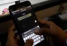 Tanda Chat WhatsApp Sudah Dibaca Meski Centang Biru Dimatikan, Begini Caranya