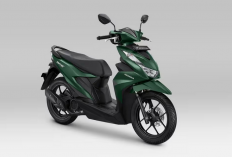 Rekomendasi Motor Honda BeAT Terbaik 2024