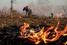 Jangan Ramba dan Bakar Hutan di Musim Kemarau