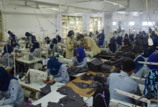 Kemenperin: 1.236 Perusahaan Merekrut 218 Ribu Pekerja
