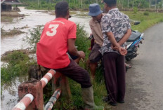 Desa Teluk Dien Kembali Dilanda Banjir, Warga Harapkan Bantuan Alat Berat untuk Pembuatan Tanggul