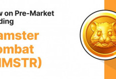 Persiapan Pre-Market Hamster Kombat: Harga, Platform, dan Airdrop Token HMSTR