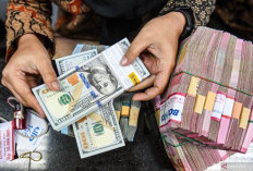 Rupiah Nyaris Rp 17 Ribu, Cermin Ketidaksiapan Menghadapi Ketidakpastian Ekonomi