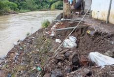 Bronjong Penahan Banjir Rusak, Puluhan Rumah Warga Desa Pangkalan Terancam Abrasi