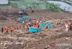 Tim SAR Evakuasi 4 Jenazah Lagi dari Lokasi Longsor Cisarua, Total 64 Kantong Ditemukan