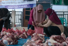 Jangan Salah Bagi Kurban! Ini Panduan Pembagian Daging Kurban yang Tepat Sesuai Syariat