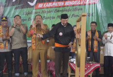 IPSI & Kajari BU Gelar Kejuaraan Pencak Silat, Diikuti 240 Peserta