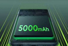 Kelebihan dan Kekurangan Baterai HP 5000 mAh 