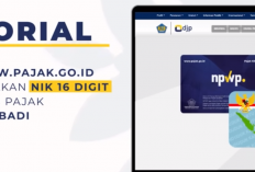 Tutorial Login Pajak.go.id menggunakan NIK bagi Wajib Pajak Orang Pribadi