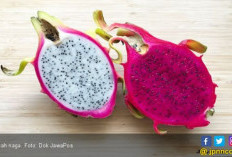 3 Manfaat Buah Naga yang Bikin Kaget