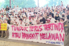 Jangan Remehkan Dampak Penundaan Pengangkatan PPPK & CPNS 2024