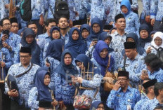 Ribuan Calon PPPK Paruh Waktu Siapkan Aksi Besar-besaran, Pemicunya soal Gaji
