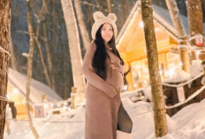 Liburan ke Hokkaido, Via Vallen Umumkan Hamil Anak Kedua