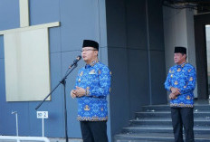 Gubernur Rohidin Mengingatkan OPD Pemprov Bengkulu tidak Merekrut Honorer, Ini Alasannya