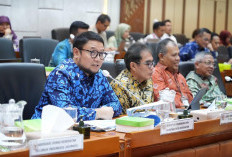 Sepanjang 2024, BPJS Kesehatan Catat Jumlah Peserta Aktif JKN & Penerimaan Iuran Melonjak