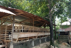 Antisipasi Curnak, Kapolsek Lebong Tengah Minta Ternak Tidak Dilepas Bebas