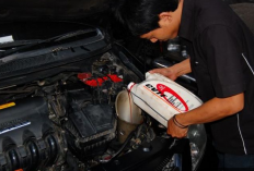 Pentingnya Ganti Oli Transmisi Mobil Secara Rutin untuk Menjaga Performa