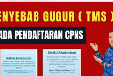 Hal-Hal yang Membuat Pelamar Gugur Tes CPNS