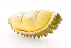 Tips Menikmati Buah Durian Tanpa Khawatir