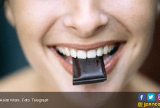 Manfaat Khasiat Cokelat Hitam, Bikin Penyakit Kronis Ini Enggan Menyerang Anda