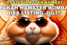 Update Hamster Kombat, Prediksi Listing Bulan Juli?