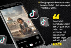 TikTok Indonesia Hapus 900 ribu Video Terkait Judol Sepanjang 2024