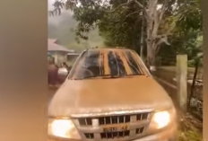 Viral Ketangguhan Isuzu Panther Aceh Seusai Terendam Banjir