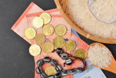   5 Reksa Dana Pasar Uang Syariah Terbaik 2025 Bagi Investor Pemula