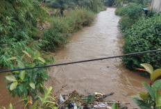 2 Sungai di Lebong Alami Pencemaran 