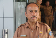 Harga TBS Sawit Bengkulu Utara Stabil, Petani Keluhkan Harga Rendah