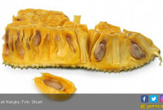 6 Manfaat Nangka, Anemia Bakalan Ogah Mendekat