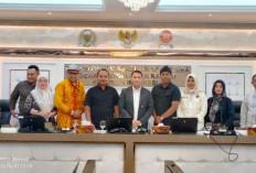 Ini Hasil Pertemuan PPPK, P3K PW, DPR, dan KemenPANRB, Melegakan