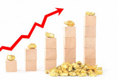 Harga Emas Melambung Tinggi, Sebenarnya Lagi Ada Apa?