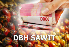 DBH Kelapa Sawit Dipangkas, Program Infrastruktur Tetap Prioritas