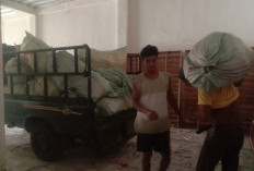 Logistik Eks Pemilu 2024 Sudah Dilelang, Segini Hasil Lelangnya