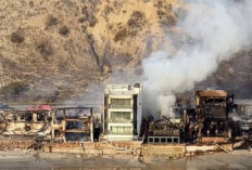 Telusuri Kerugian Luas Lahan Akibat Kebakaran Hutan di Los Angeles