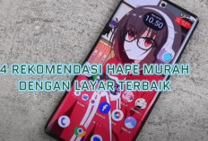 4 Rekomendasi Smartphone Layar AMOLED 1-2 Juta Terbaik 2024