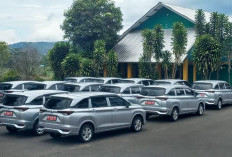 Ini Peruntukkan Mobil Dinas Kades yang Dikandangkan