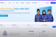 Pengumuman Resmi BKN: Aturan Terbaru Pendaftaran PPPK 2024