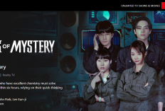 Kapan Episode Pertama Agents of Mystery Tayang di Netflix? Catat Tanggalnya!