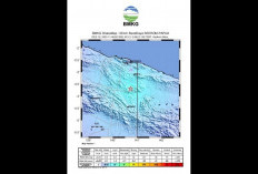 Gempa M 5,3 di Barat Daya Keerom Papua, BMKG: Tidak Berpotensi Tsunami