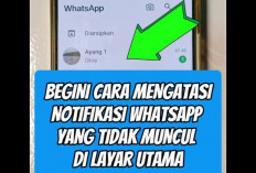 Cara Atasi Notifikasi WhatsApp Tak Muncul Di Android Dan iPhone