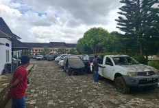 Sudah Dikandangkan, Begini Kondisi Puluhan Kendis R4 yang Akan Dilelang Tahun Ini 