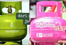 Telusuri Perbedaan Harga Gas Melon VS Bright Gas 3 Kg