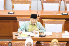 Waka MPR HNW Dukung DPR untuk Program Sertifikasi Halal