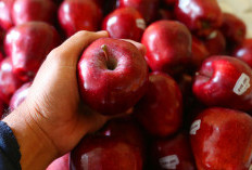 Turunkan Gula Darah dengan Mengonsumsi 3 Buah Ini